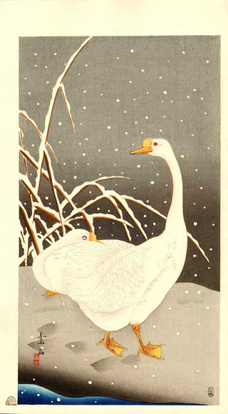 Twee ganzen in de sneeuw