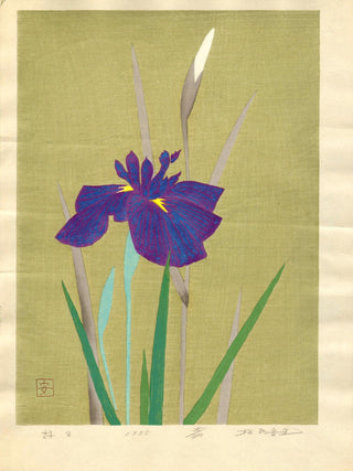 Iris
