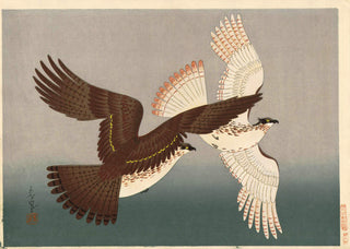 Halcones (fondo marrón)