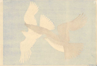Halcones (fondo azul)