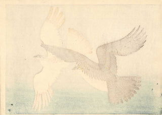 Halcones (fondo marrón)