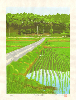 Small road in early summer