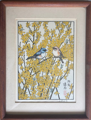 Marzo - Aves del año oriental