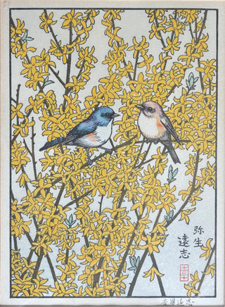 Marzo - Aves del año oriental