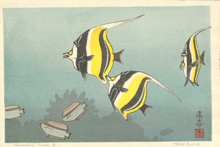 Pescado hawaiano B