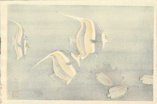 Hawaian Fish B